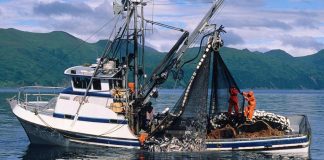 рыбный промысел