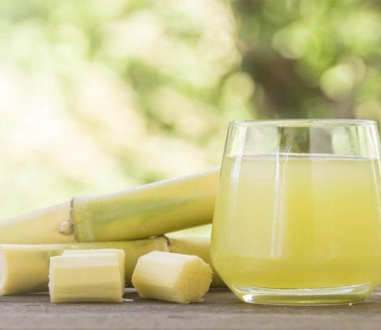 сахарный тростник