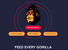 Feed Every Gorilla