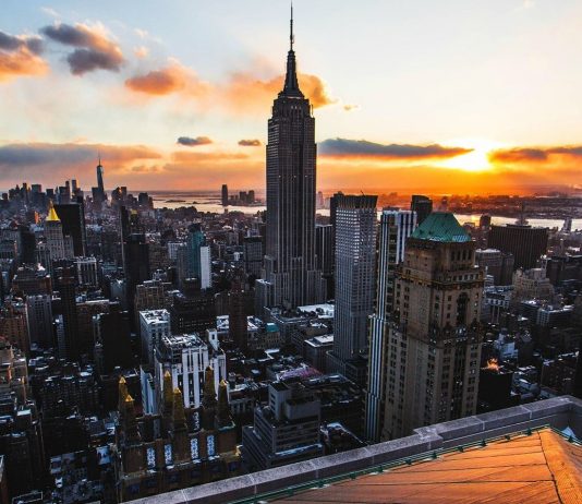 TREX INVEST отзывы