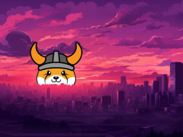 Обновление экосистемы Floki