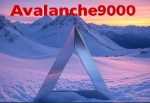 Avalanche9000