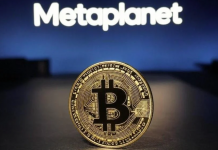 Японская корпорация Metaplanet