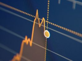 First Investment Fund отзывы