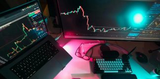 Coinomis отзывы