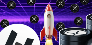 Фонд HashKey Capital