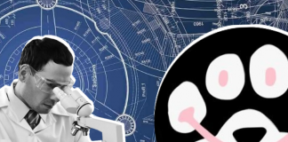 Whitepaper PAWS
