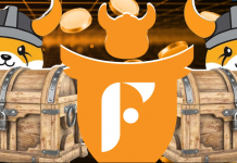 FlokiFi Locker