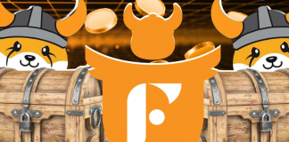 FlokiFi Locker