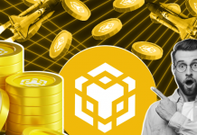 Сеть BNB
