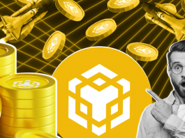Сеть BNB