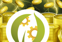 BNB Network