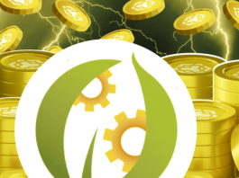 BNB Network