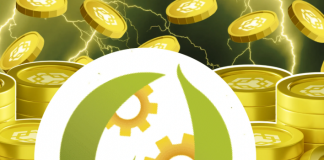 BNB Network