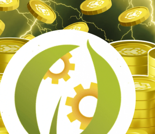 BNB Network