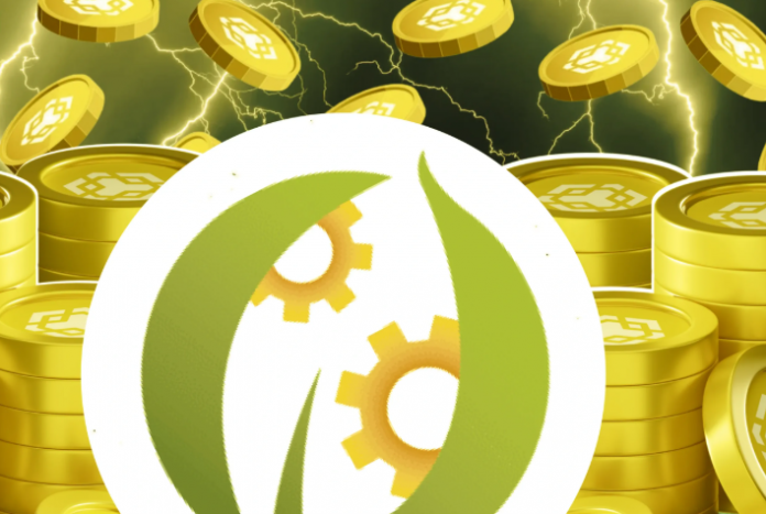 BNB Network