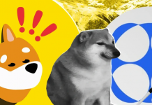 BONK ETP запустят на швейцарской бирже SIX Swiss Exchange BONK ETP