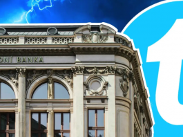 Компания Telcoin