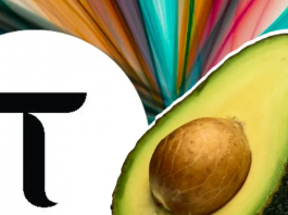 Халвинг Bittensor