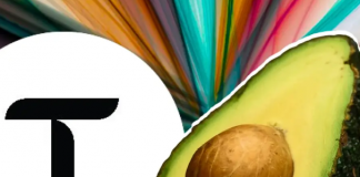 Халвинг Bittensor