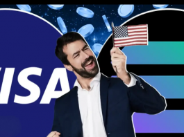 USDC и Visa