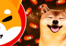 компания Shiba Inu