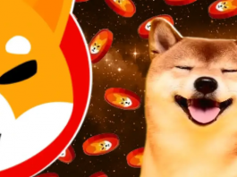 компания Shiba Inu