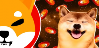 компания Shiba Inu