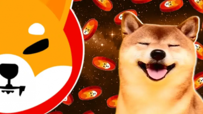 компания Shiba Inu