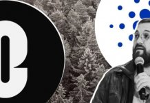 Интеграция LayerZero в блокчейн Cardano Интеграция LayerZero