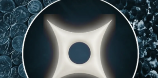 Компания Perle Labs