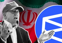 Компания Near