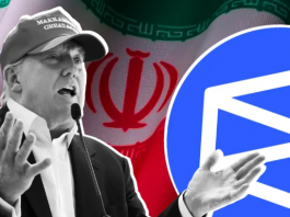 Компания Near