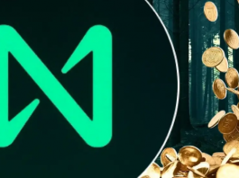 Компания Near