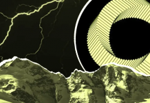 Canton Network: в марте к сети присоединились Visa и Circle Canton Network