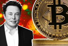 Публикации Маска