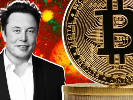 Публикации Маска о биткоине становятся все более странными? Публикации Маска