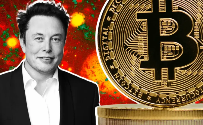 1-Elon-Musk-Bull Публикации Маска