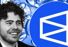 Что такое Polymarket USD: обзор нового стейблкоина Polymarket USD