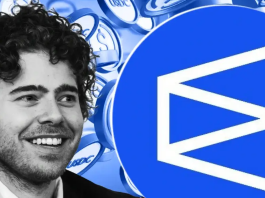 Что такое Polymarket USD: обзор нового стейблкоина Polymarket USD