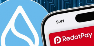 RedotPay