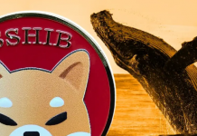 Кит Shiba Inu