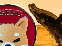 Кит Shiba Inu