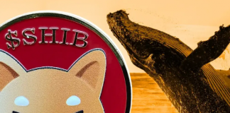 Кит Shiba Inu
